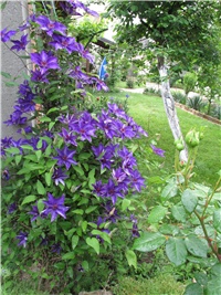 ec322b0e-Picture 662.jpg